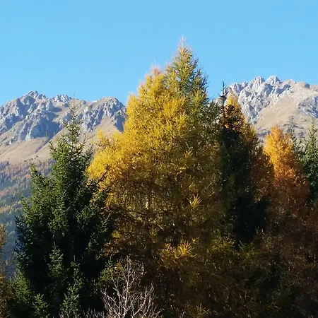 山林小屋 L'involt Mountain 博尔诺