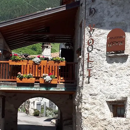L'involt Mountain Orman Evi *