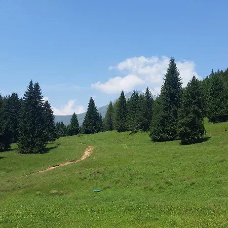 L'involt Mountain Orman Evi