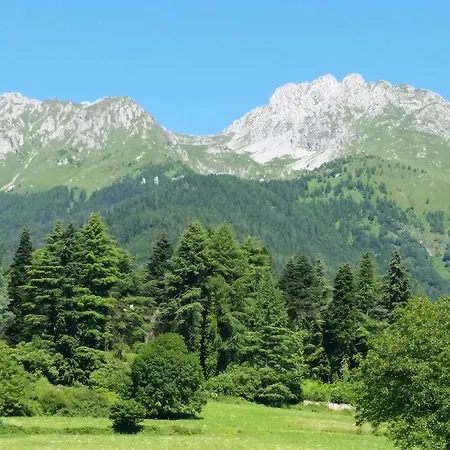L'involt Mountain Orman Evi *