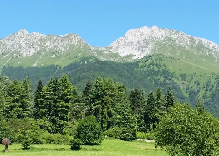 L'involt Mountain Деревянный коттедж *
